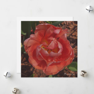rote Blüte Feiertagskarte