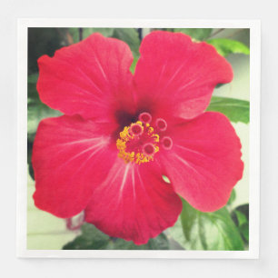 Rote Blüte von Hibiscus Rosa-sinensis Serviette