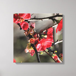 Rote Blüten Blumenkanvas drucken Leinwanddruck