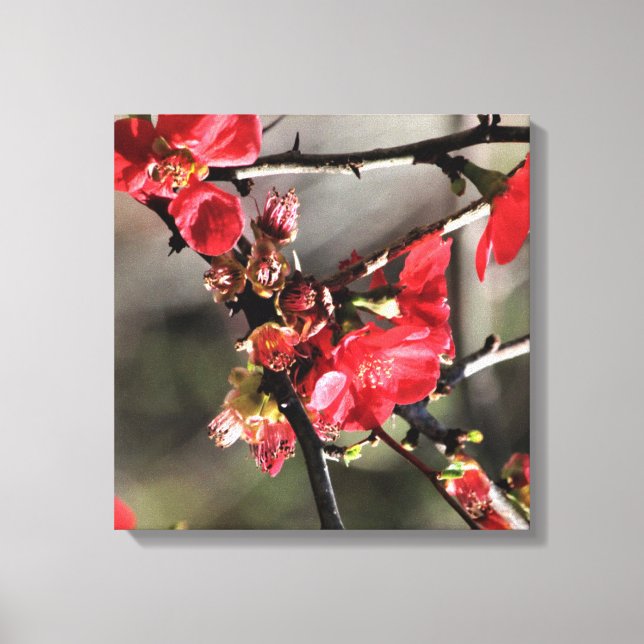 Rote Blüten Blumenkanvas drucken Leinwanddruck (Vorderseite)