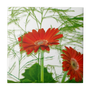 Rote Blüten Fliese