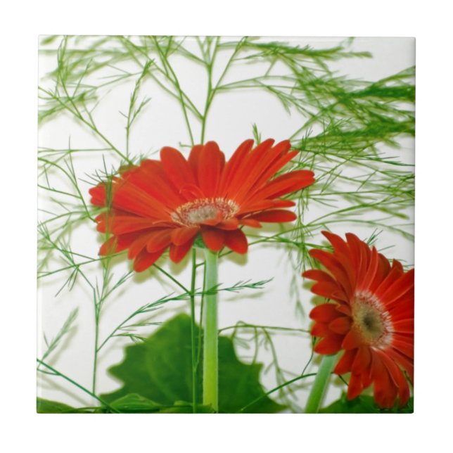Rote Blüten Fliese (Vorderseite)