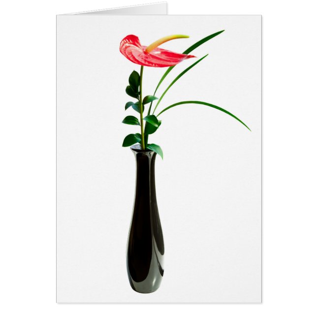 Rote Blütenschweif-Blume in einem Vase (Vorne)