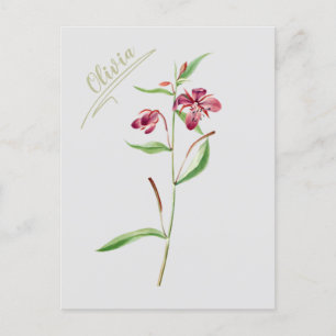 rote botanische minimal vintage für sie postkarte