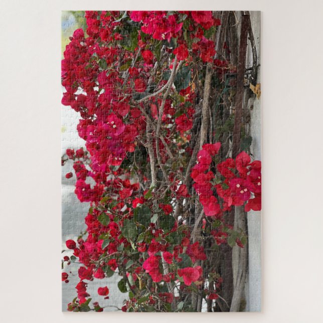 Rote Bougainvillea, Burlingame Puzzle (Vertikal)