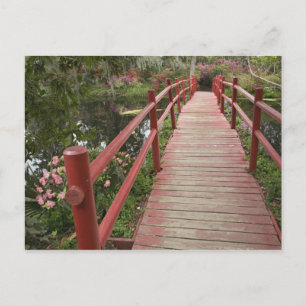 Rote Brücke über den Teich, Magnolia Plantation, Postkarte