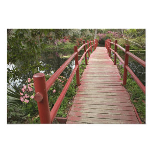 Rote Brücke über Teich, Magnolia Plantation, Fotodruck