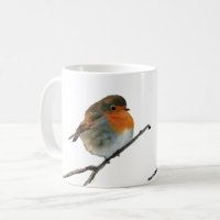 Rote Brüste europäischen Englisch-Robin-Vogels auf