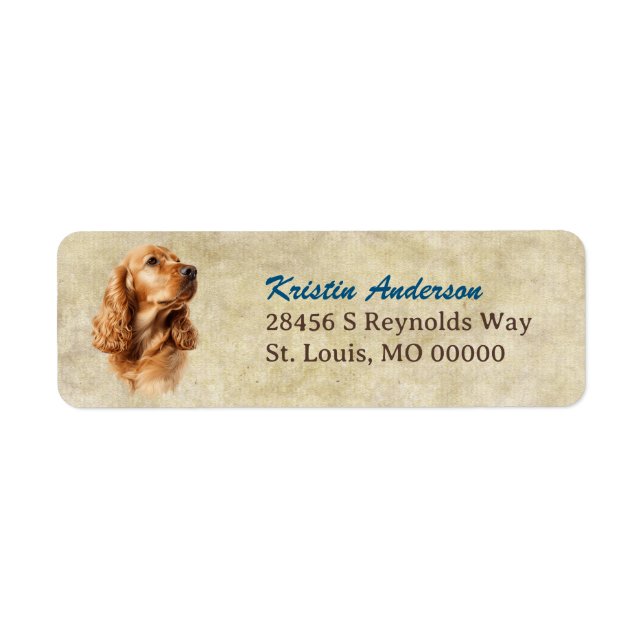 Rote Buff-Cocker-Spaniel-Porträt-Rücksendeadresse (Vorne)