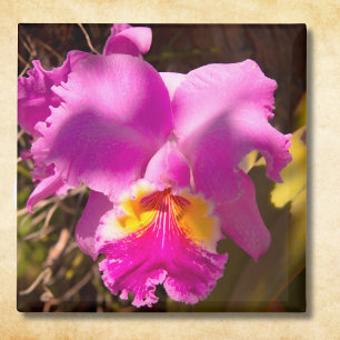 Rote Cattleya-Orchidee Magnet