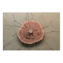 Rote Cedar & Twigs Kunst, Dichtung und Musik