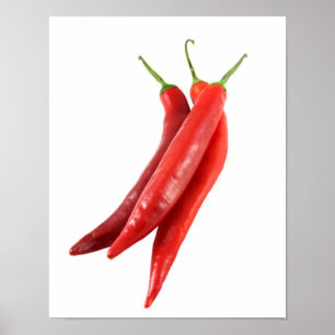 Rote Chili-Paprikaschoten-Plakate Poster