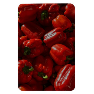 Rote Chili-Pfeffer-Küchenmagnet Magnet