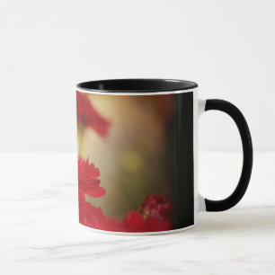 Rote Chrysanthemen Tasse
