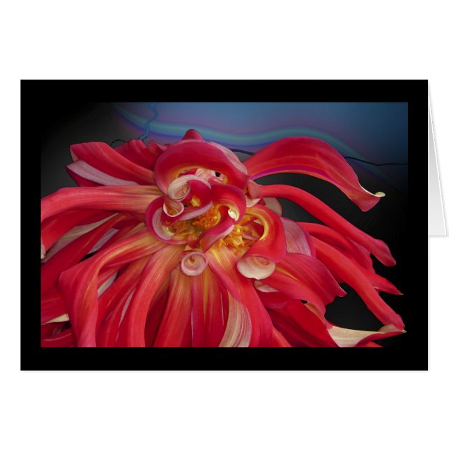 Rote Dahlie: www.GraceArtGroup.com (Vorderseite (Horizontal))