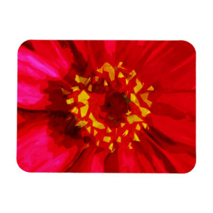 Rote Daisy-Blume mit Gelbpollen Abstrakt Magnet