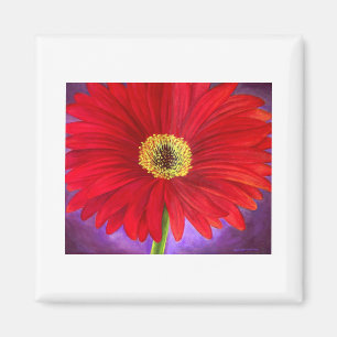 Rote Daisy Gerber Blume Malerei Art - Multi Magnet