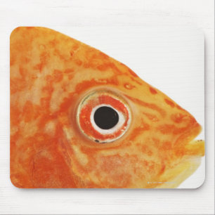 Rote Diakonfische Mousepad