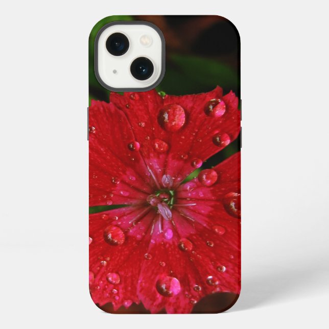 Rote Dianthus mit Regentropfen iPhone Hülle (Rückseite)