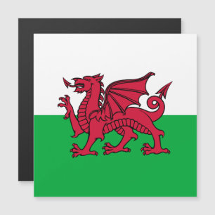 Rote Drache keltische Flagge von Wales & Walisisch Magnetkarte
