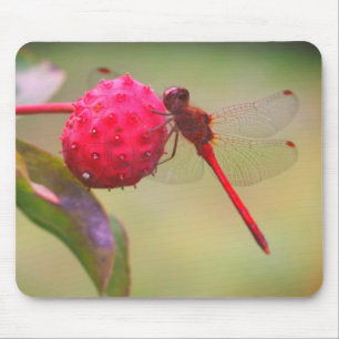 Rote Dragonfly-Natur Mousepad