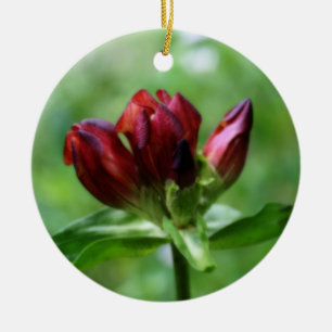 Rote Enzian-Blumen-Verzierung Keramik Ornament