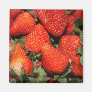 rote Erdbeerfrüchte Magnet