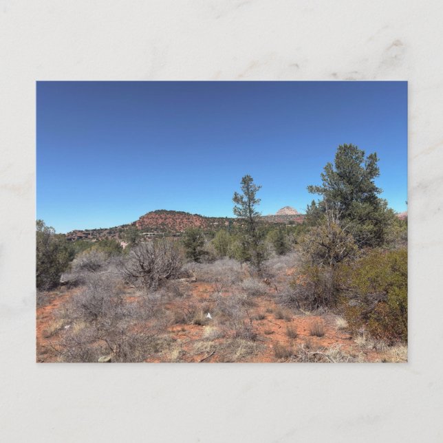 Rote Felsen Hügel Wüstenlandschaft Postkarte (Vorderseite)