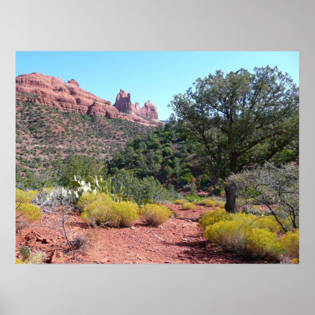 Rote Felsen und Cacti II in Sedona Arizona Poster (Vorne)