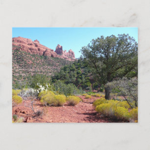 Rote Felsen und Cacti II in Sedona Arizona Postkarte