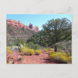 Rote Felsen und Cacti II in Sedona Arizona Postkarte