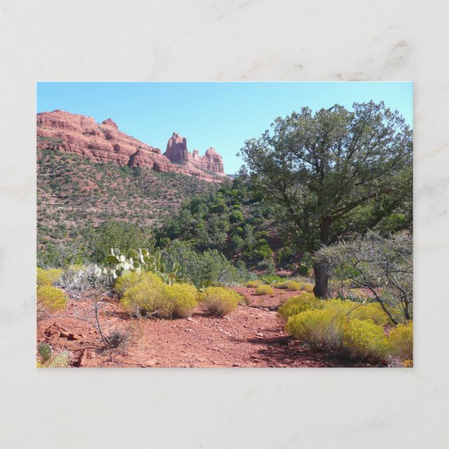 Rote Felsen und Cacti II in Sedona Arizona Postkarte (Vorderseite)