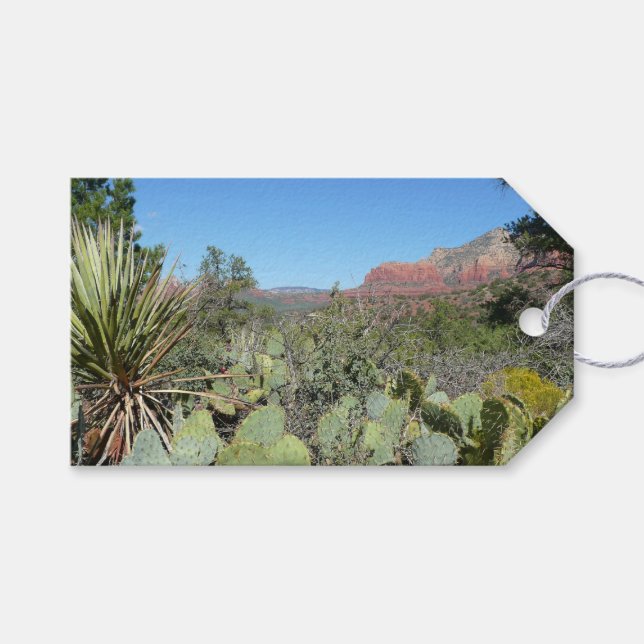 Rote Felsen und Kakteen I Geschenkanhänger (Vorderseite (Horizontal))