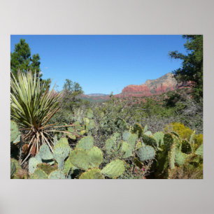 Rote Felsen und Kakteen I Poster