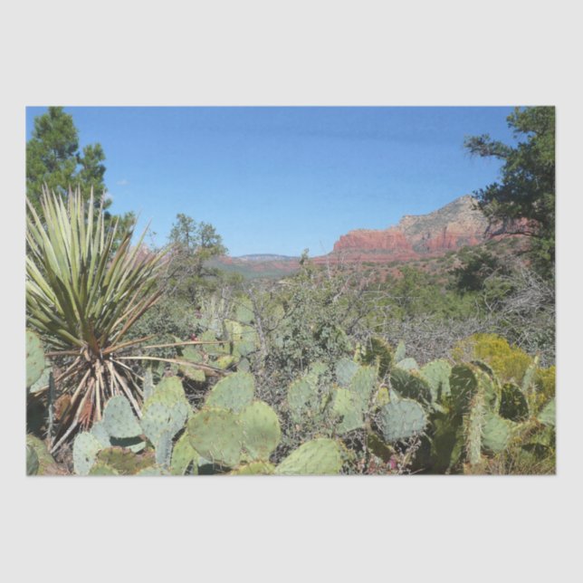 Rote Felsen und Kakteen I Seidenpapier (Vorderseite)