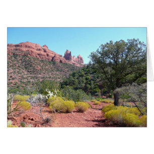 Rote Felsen und Kakteen II in Sedona Arizona