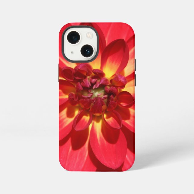 Rote Feuer-Dahlie-Blume iPhone Hülle (Rückseite)