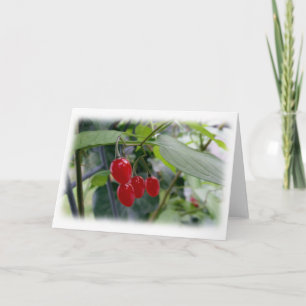 rote Flecken im Herbst Karte