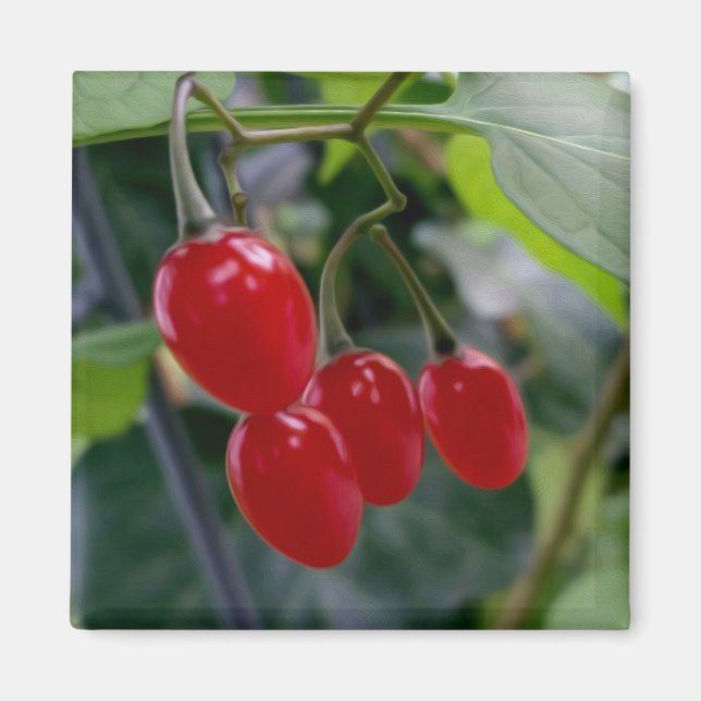 rote Flecken im Herbst Magnet (Vorne)