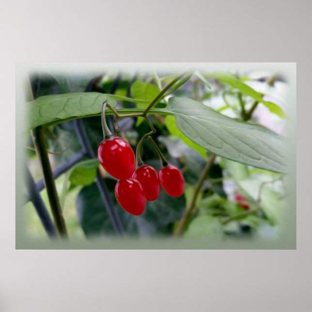 rote Flecken im Herbst Poster (Vorne)