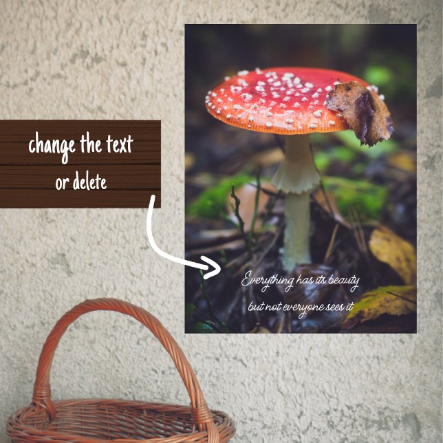 Rote Fliege Agaric Pilz im Wald Poster (Von Creator hochgeladen)