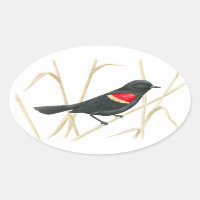 Rote-Flügel-Blackbird-Aufkleber