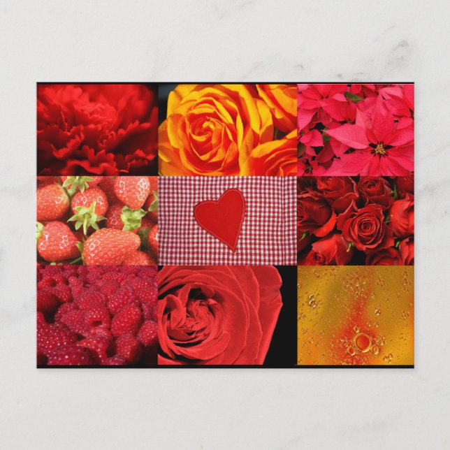 Rote Fotografie Postkarte (Vorderseite)