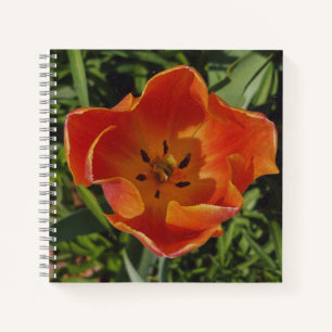 rote Frühlingsblume Notizbuch