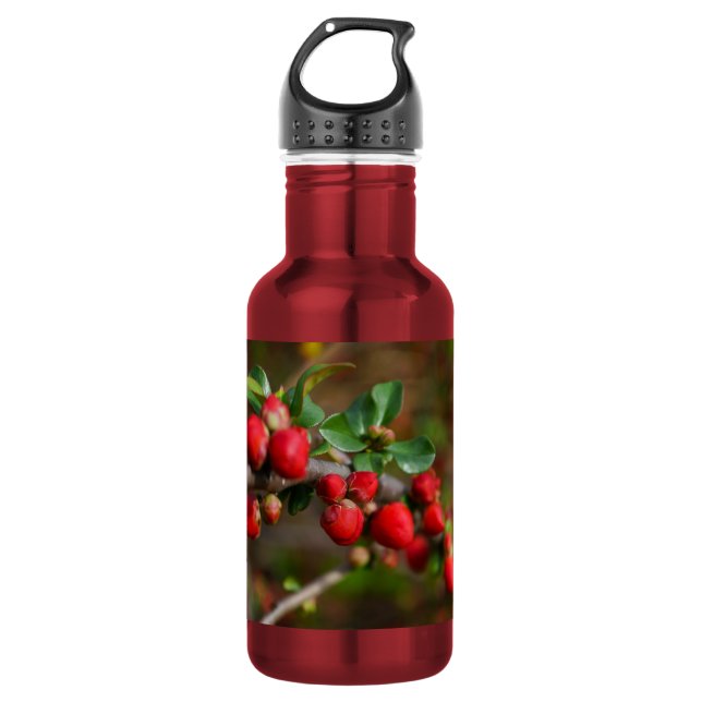 Rote Frühlingsbügel Edelstahl Wasserflasche (Vorderseite)