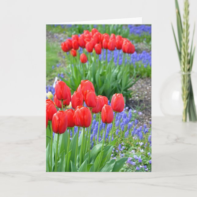 Rote Frühlingstups Blumenkarte Karte (Vorderseite)