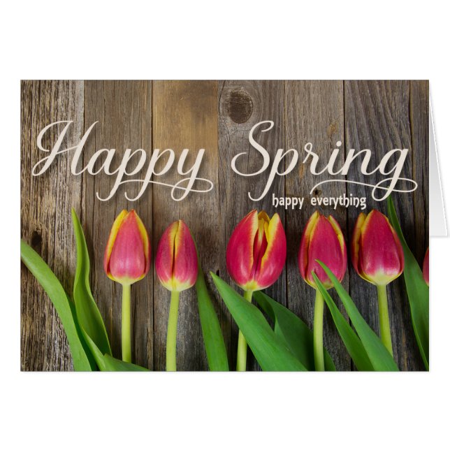 Rote Frühlingtulis (Vorderseite (Horizontal))