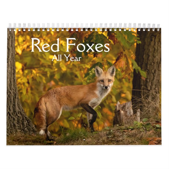 Rote Füchse Ganzjähriger Kalender (Titelbild)