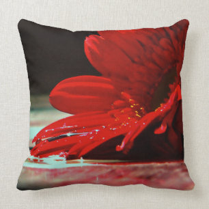 Rote Gänseblümchen-Gerbera-Blumen Kissen
