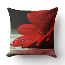 Rote Gänseblümchen-Gerbera-Blumen